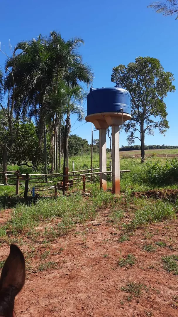 Comprar Fazenda